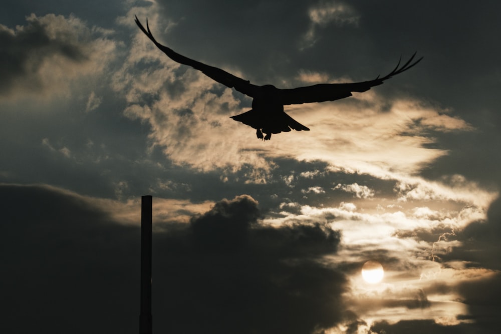 a large bird flying through a cloudy sky