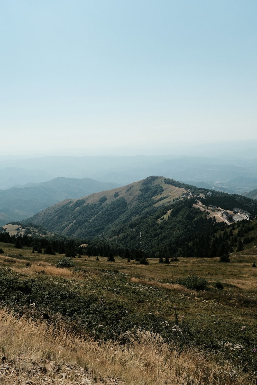 un campo erboso con una montagna sullo sfondo