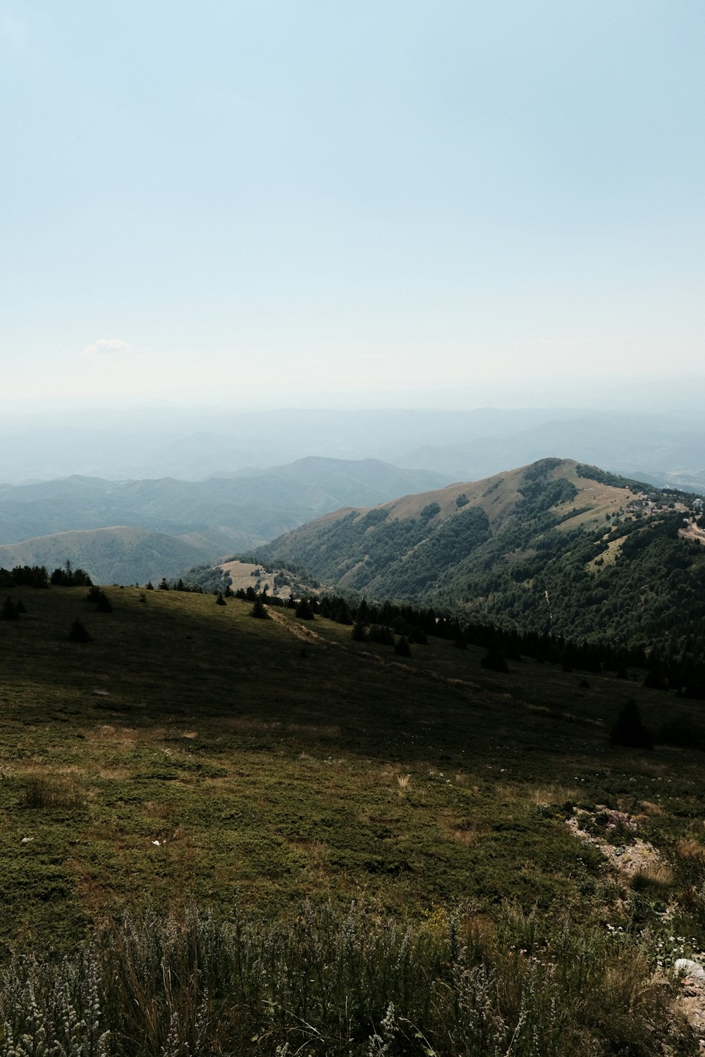 a grassy field with mountains in the background