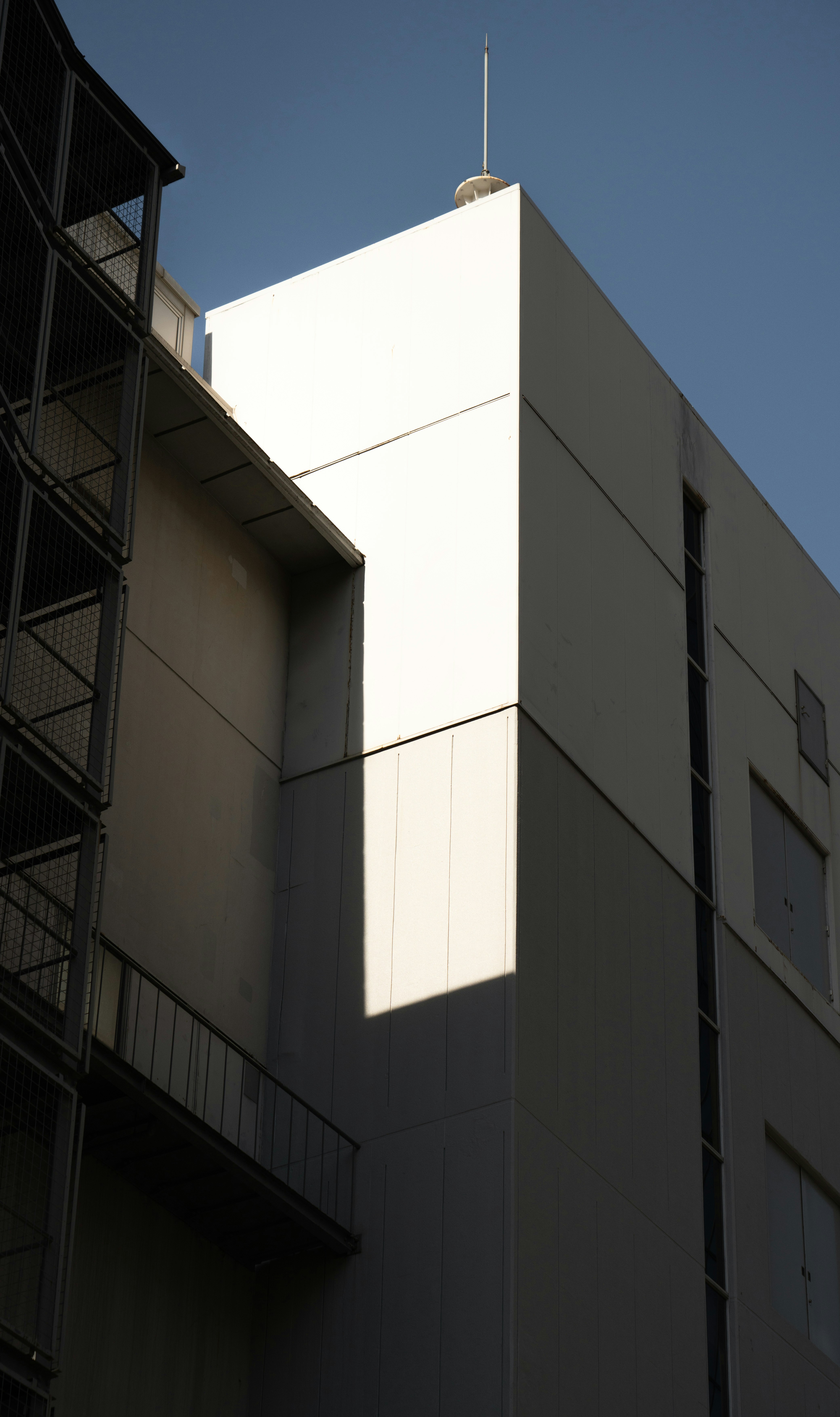 Photo by juniperphoton