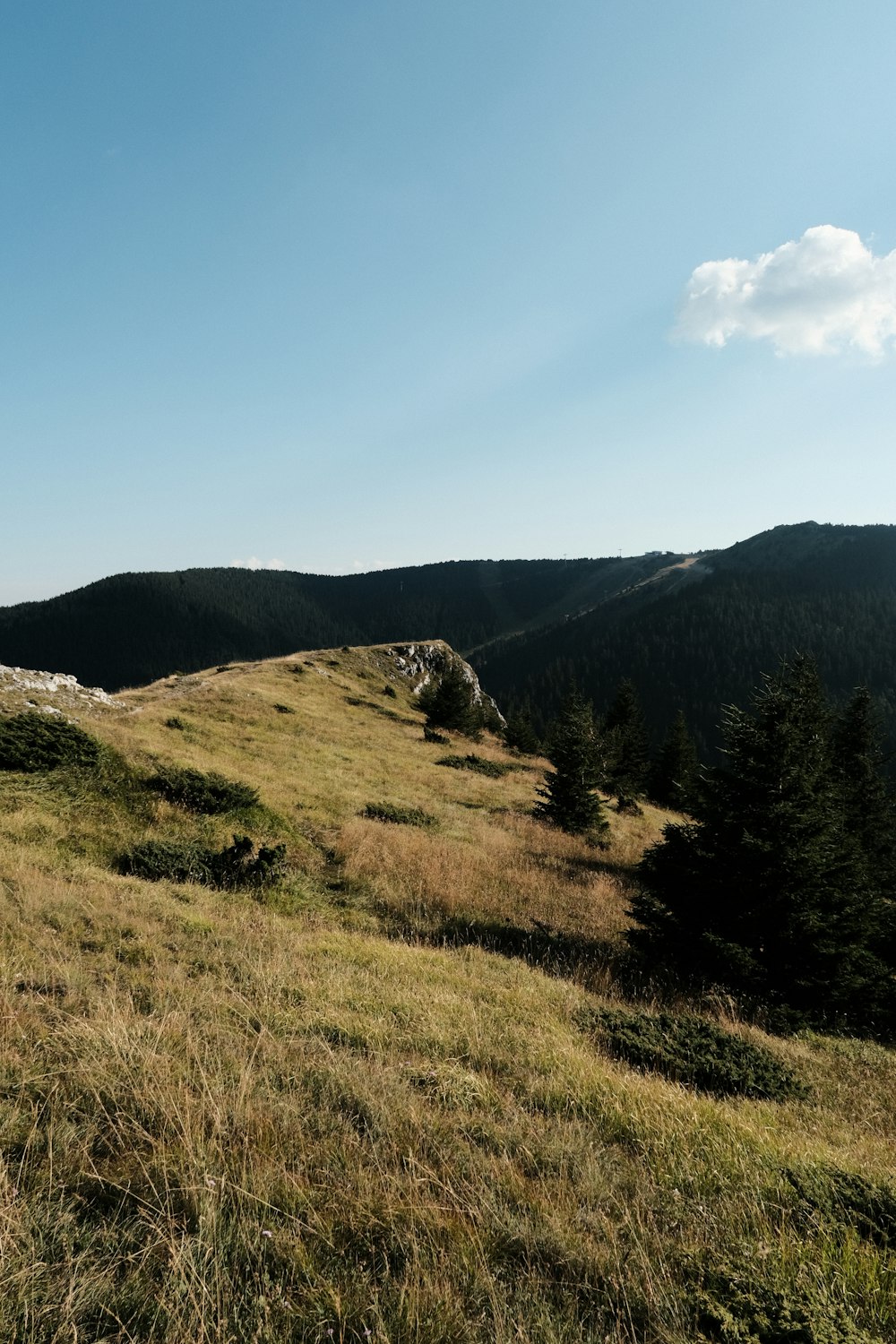 a grassy hill with trees and mountains in the background