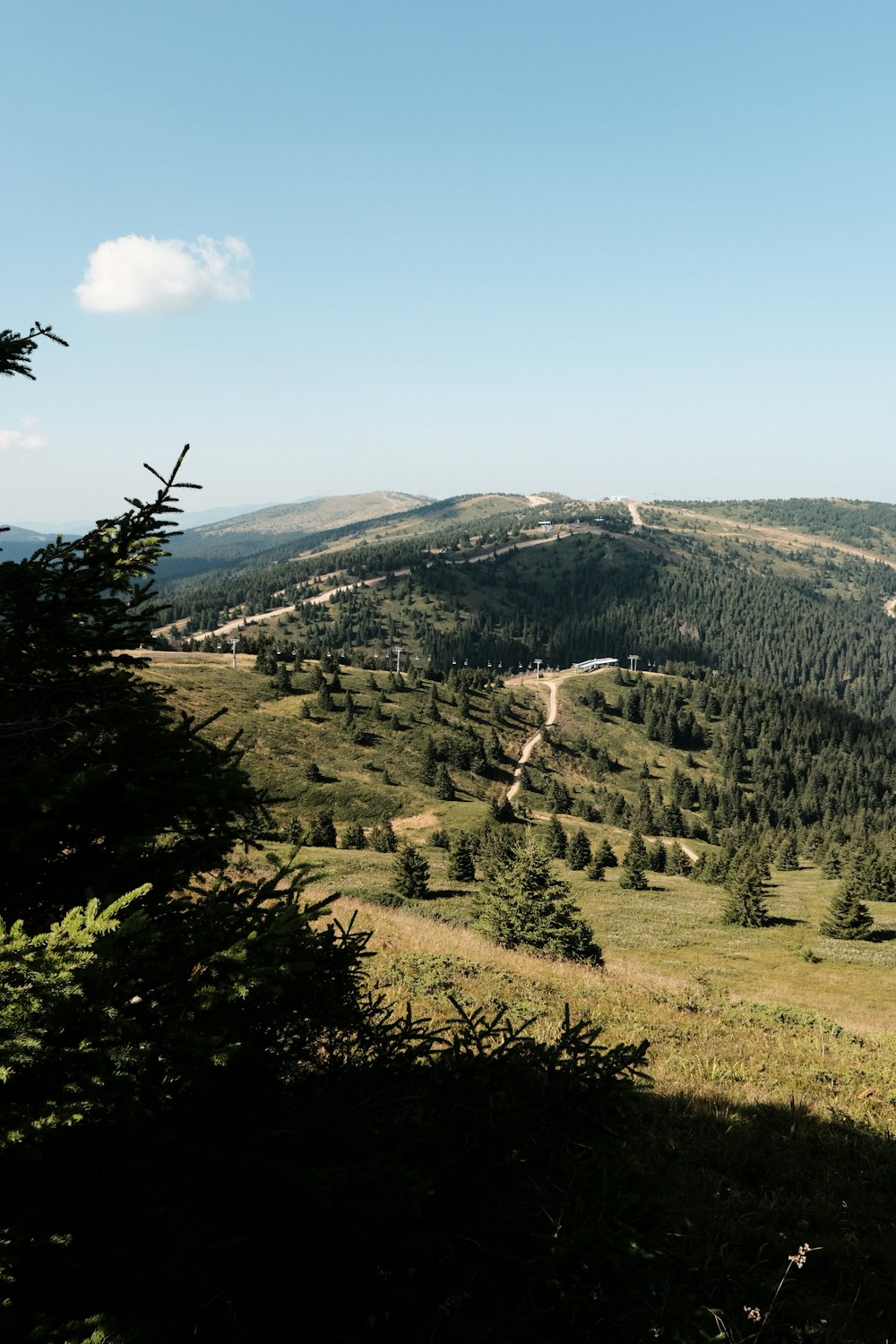 a scenic view of a valley with a mountain in the background