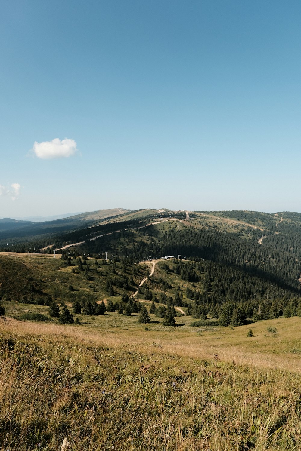 a view of a valley with a mountain in the background