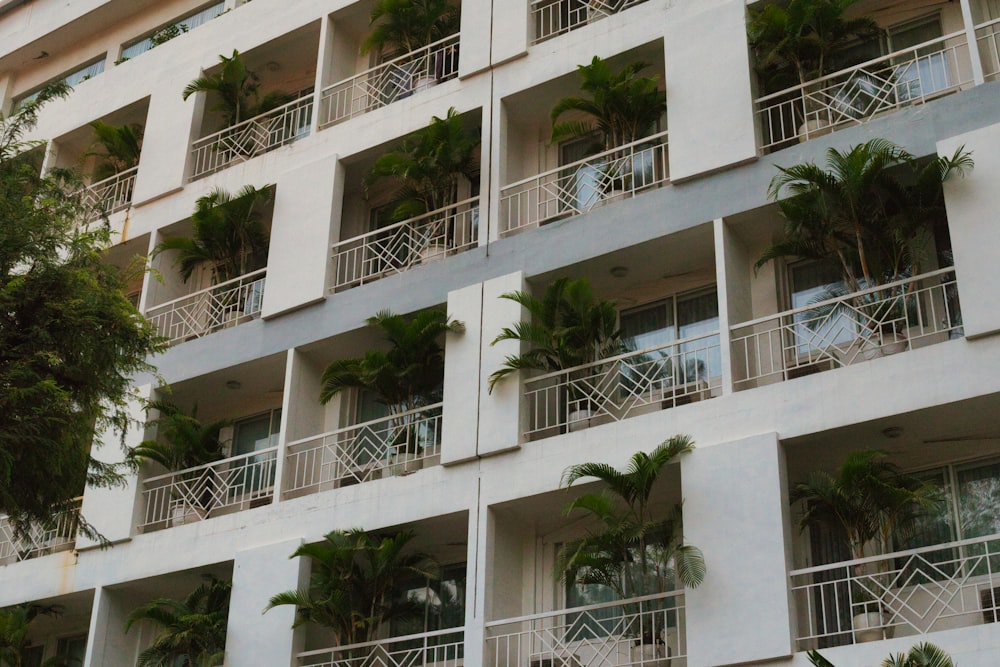 a tall white building with balconies and palm trees
