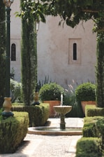 a garden with a fountain surrounded by trees