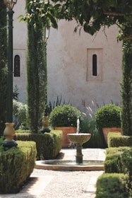 a garden with a fountain surrounded by trees