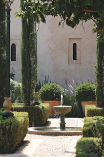 hospitality, vietnam, accor, f&b, consulting, trilien group, luxury