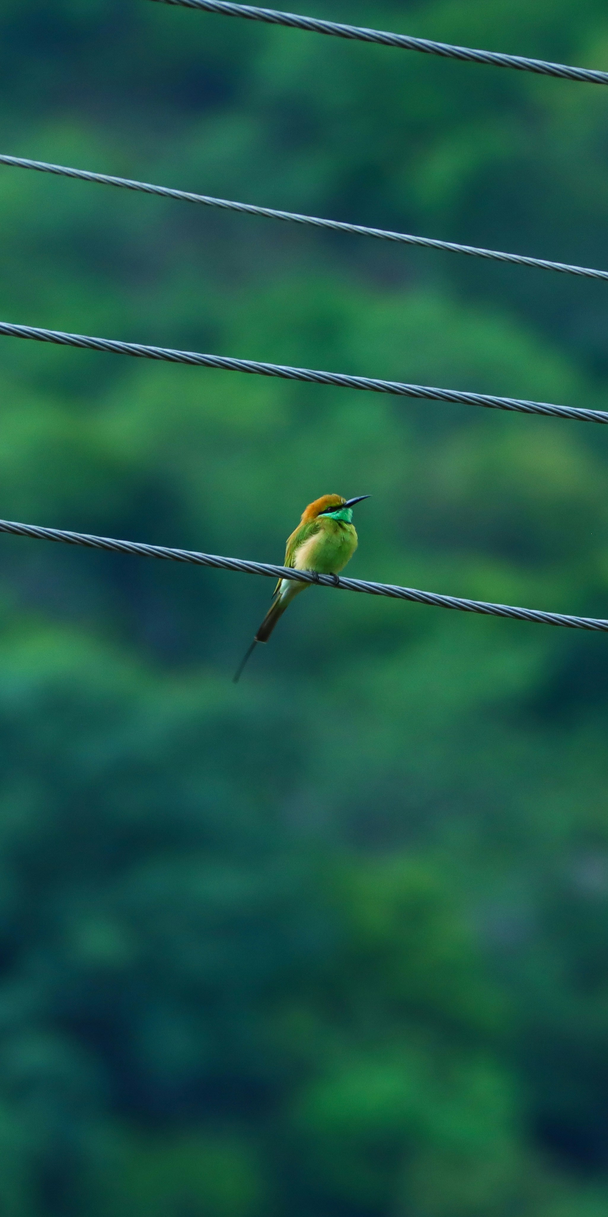 Photo by suresh___yadhav