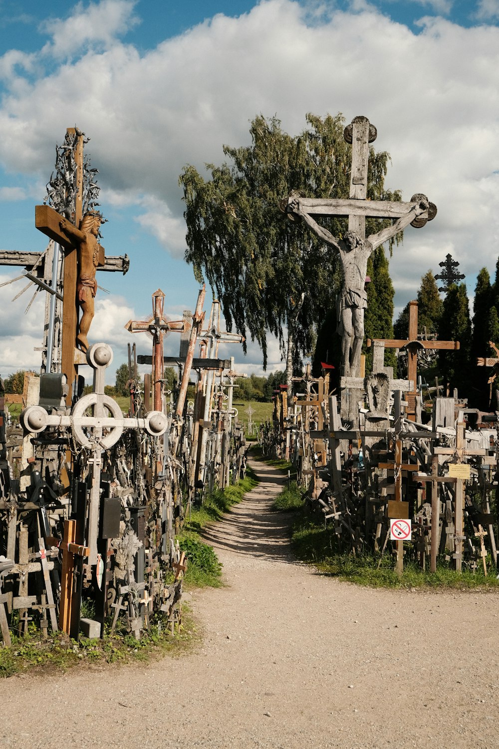 a bunch of crosses that are sitting in the grass