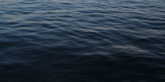 A serene image depicting harmony between body and mind.