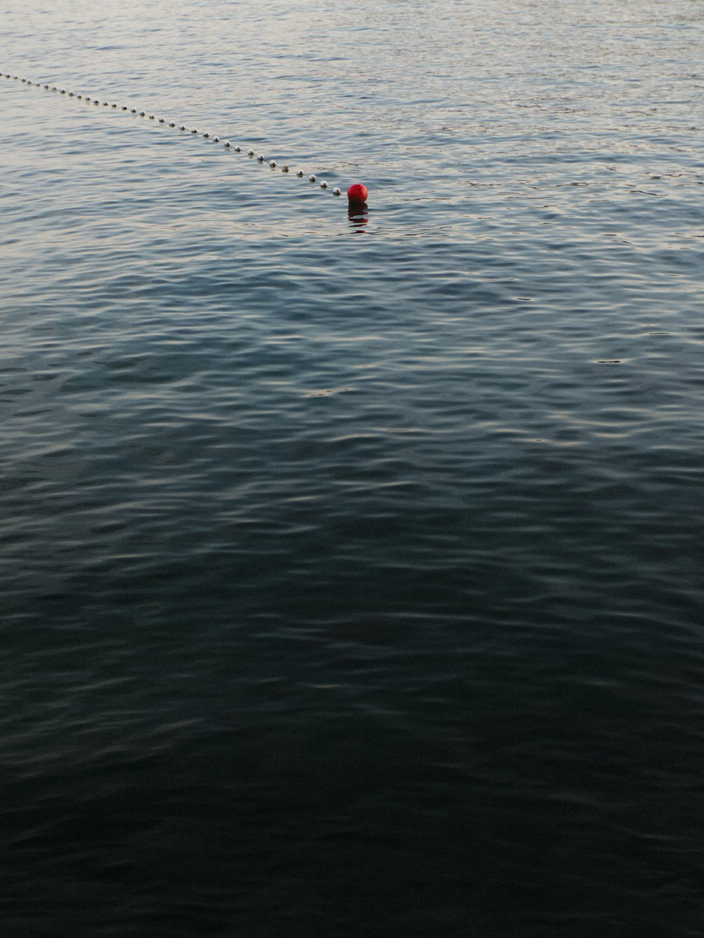 a red buoy floating in the middle of a body of water