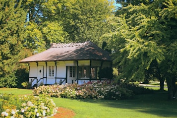 A charming small cottage surrounded by lush greenery and vibrant flowers. The structure has white walls with black timber framing and a dark roof. Bright hydrangeas and other flowering plants add color around the base of the house. Tall trees with dense foliage provide ample shade and create a serene atmosphere.