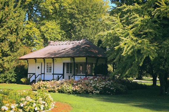 A charming small cottage surrounded by lush greenery and vibrant flowers. The structure has white walls with black timber framing and a dark roof. Bright hydrangeas and other flowering plants add color around the base of the house. Tall trees with dense foliage provide ample shade and create a serene atmosphere.