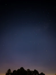 A deep blue night sky with earth orbits glowing softly around a silhouette of ancient olive trees.