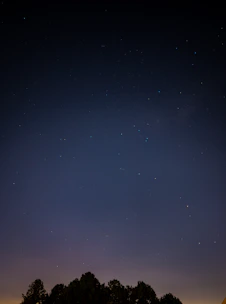 A deep blue night sky with earth orbits glowing softly around a silhouette of ancient olive trees.
