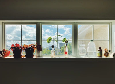 A sunny kitchen window sill adorned with potted plants and hearthtrust’s practical everyday cleaning sprays.