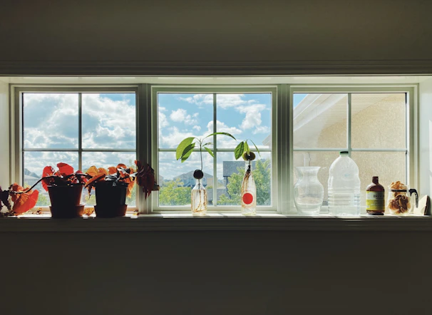 Bright window sill lined with mason jars filled with fresh wildflowers and herbs.