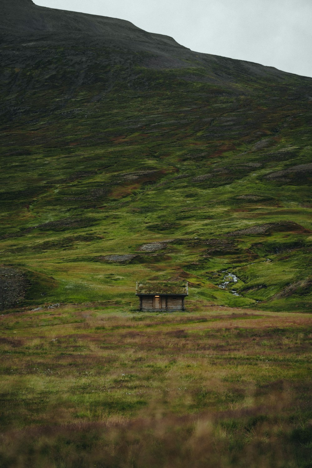 a grassy hill with a bench in the foreground