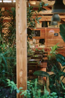 A cozy restaurant corner decorated with plants and warm forest green accents.