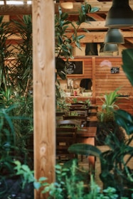 Warmly lit interior showing wooden tables and comfortable chairs with plants.
