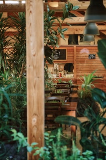 A cozy corner inside Novabite with natural wood tables and green plants.