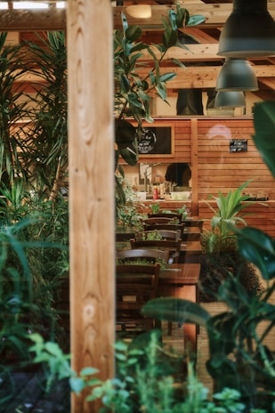 A cozy corner of the bar à salades with natural green plants and wooden accents.