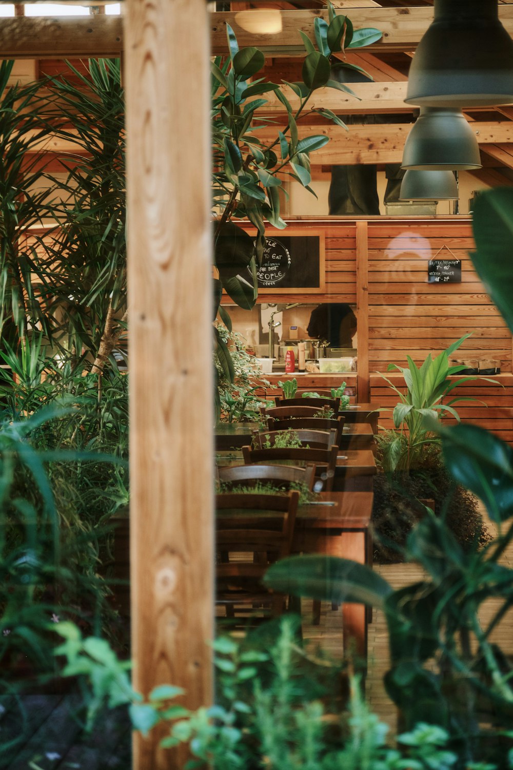 a room filled with lots of green plants