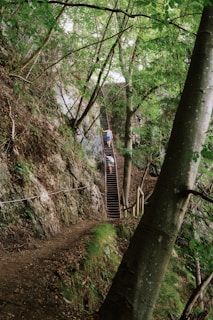 A steep wooden staircase ascends through a forested area, with two people climbing it. The surrounding environment is lush with green trees and a rocky hillside, creating a natural and rugged setting.