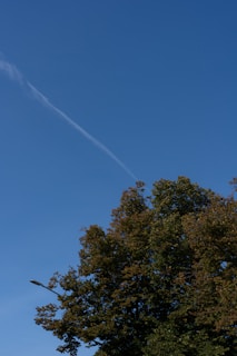 A clear blue sky with a single contrail spanning diagonally. Below, a lush, green tree occupies the lower portion of the image. A streetlight is partially visible on the left, blending into the background.