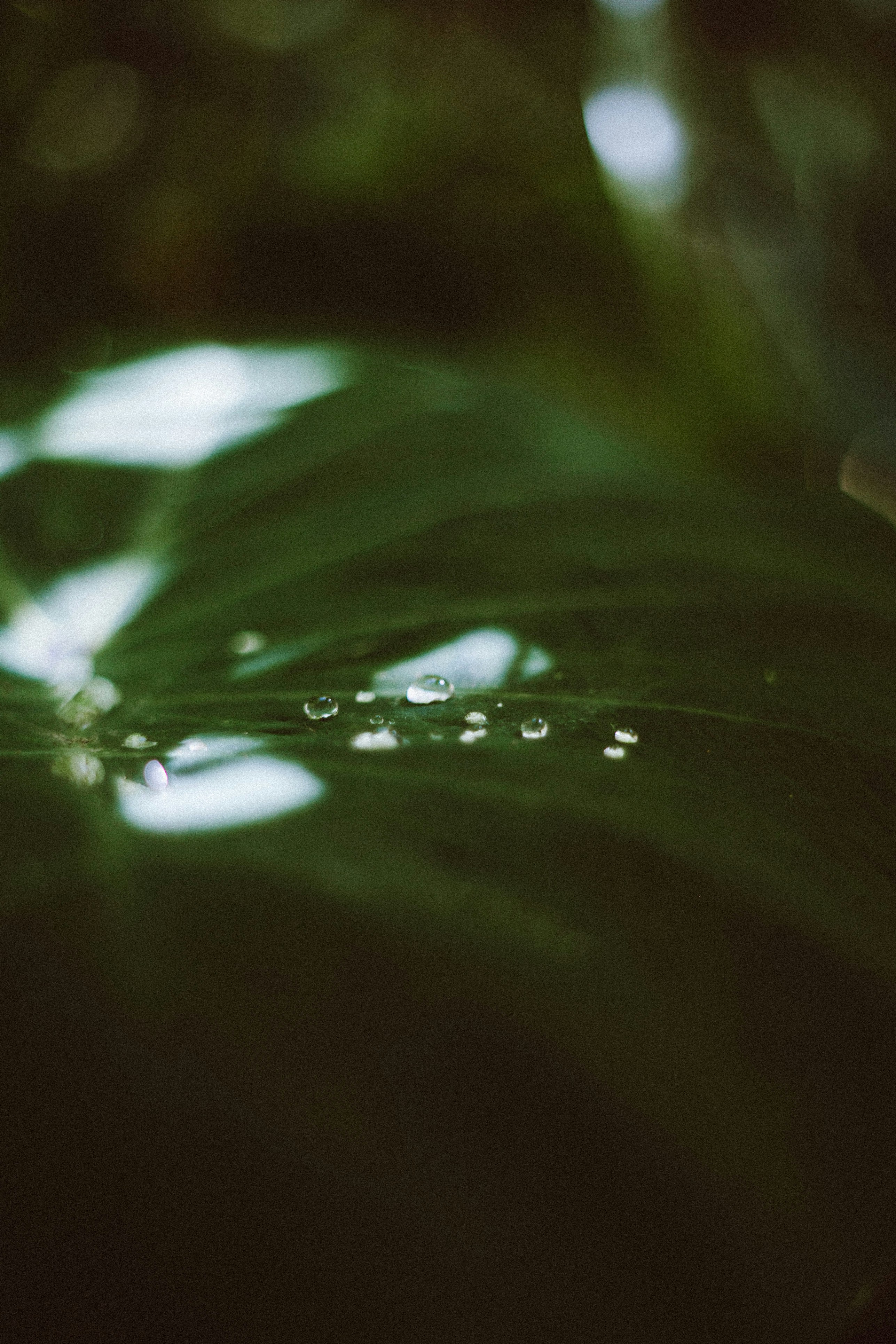 Photo by lanathegraves