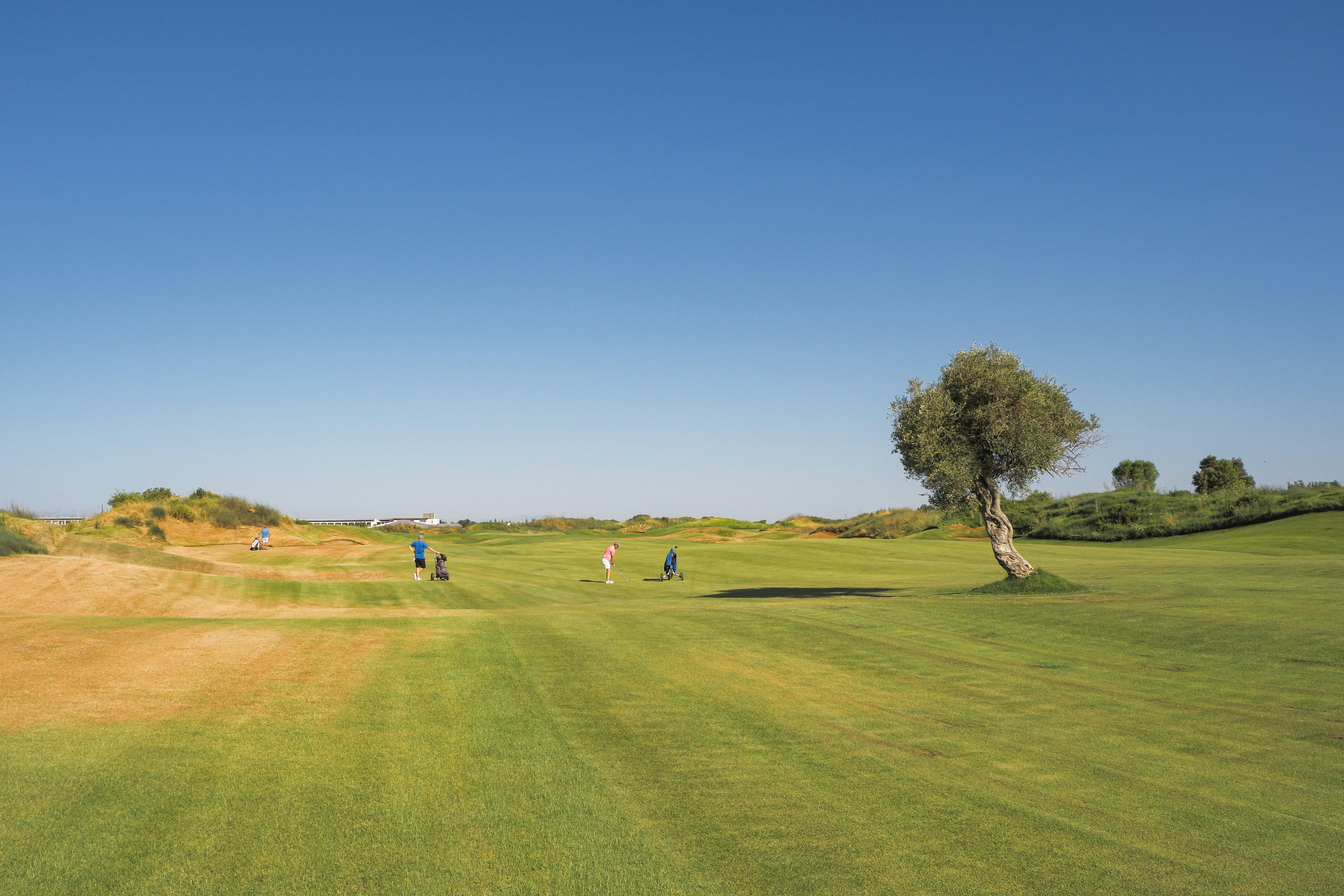 Photo by dimatarnovski