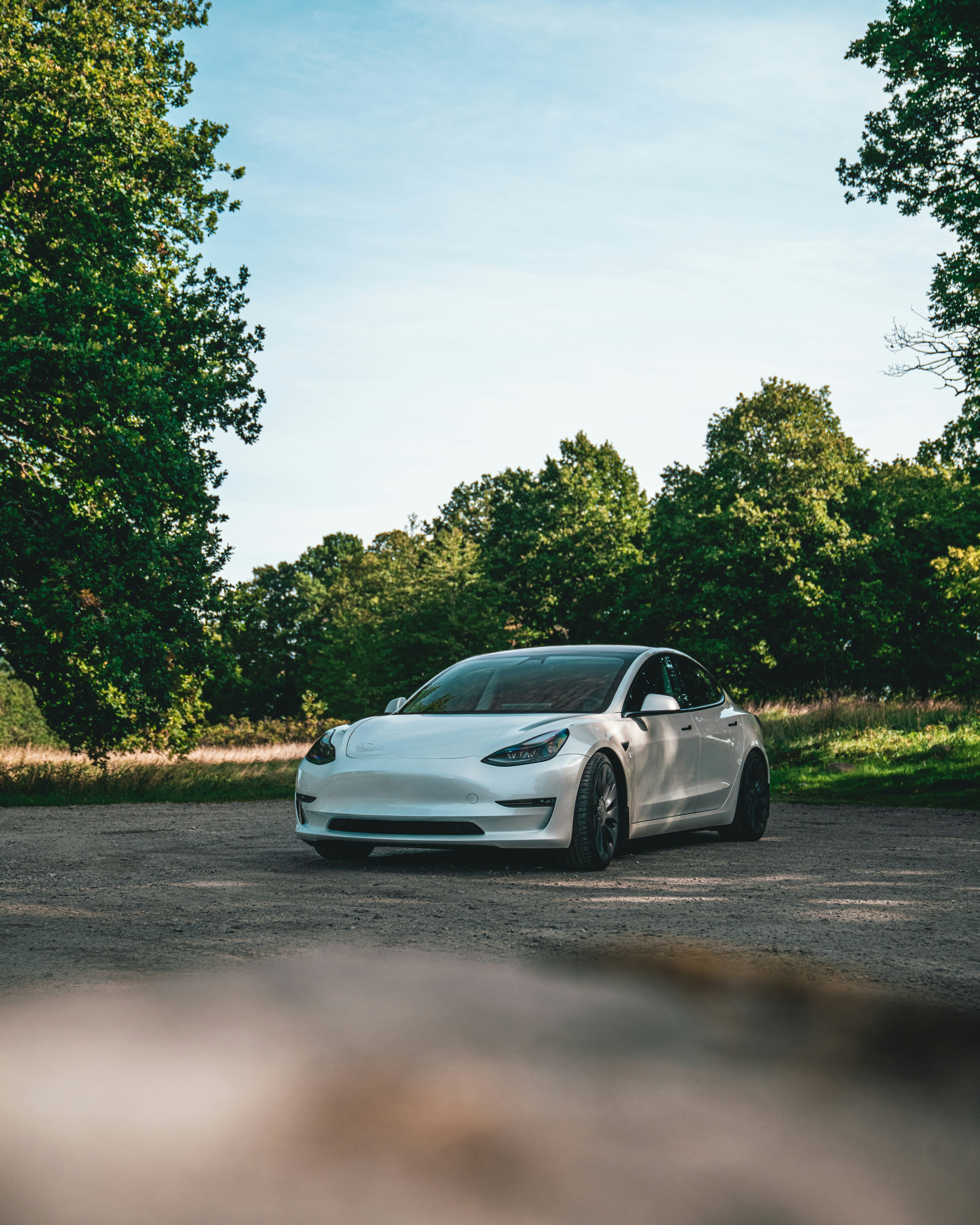 Evaluate Extended Warranty Options Suitable for Specialty and Electric CPO Models