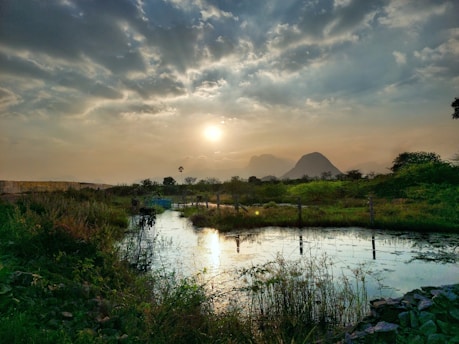 A serene landscape reflecting Vandana Gaur's writing inspiration.