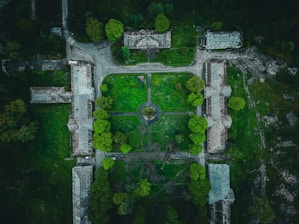 An aerial view showing the contrast between the lush roseraie and the encroaching construction site nearby.