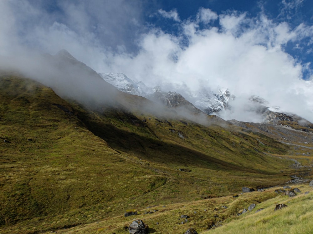 a grassy field with a mountain in the background