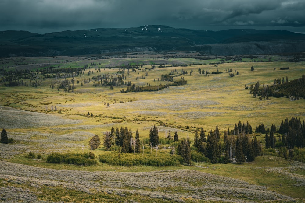 a wide open field with trees and mountains in the background