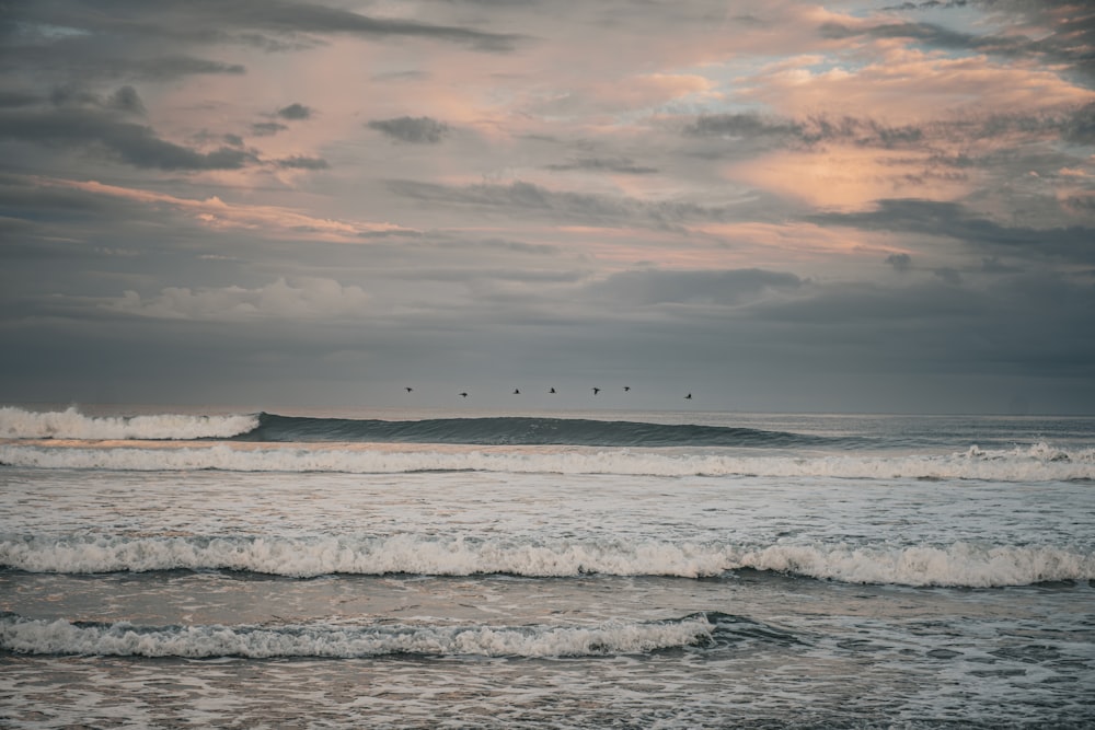 a group of birds flying over a body of water