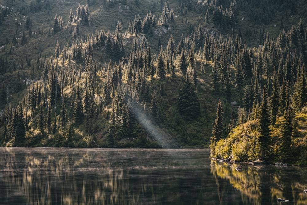 a lake surrounded by trees and a mountain