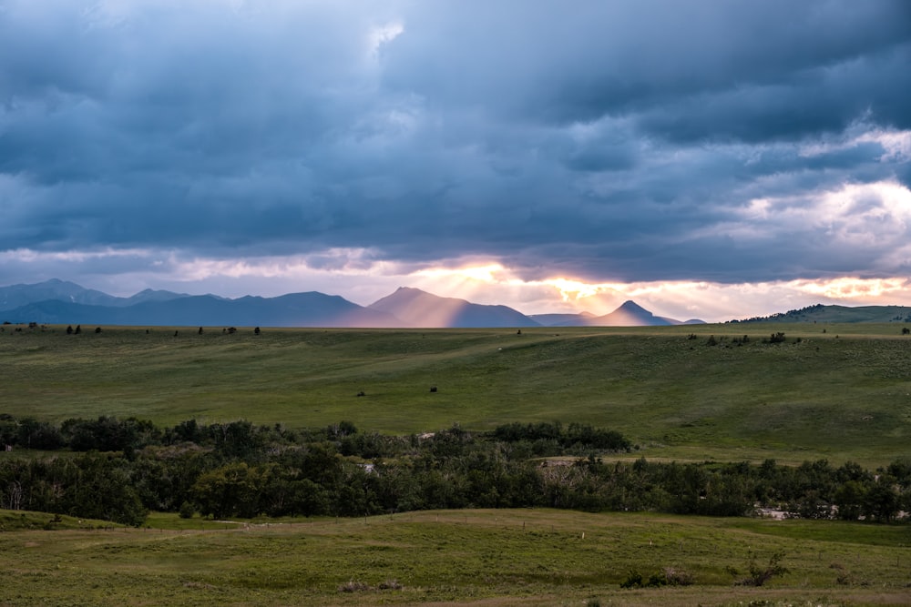 a large open field with mountains in the background