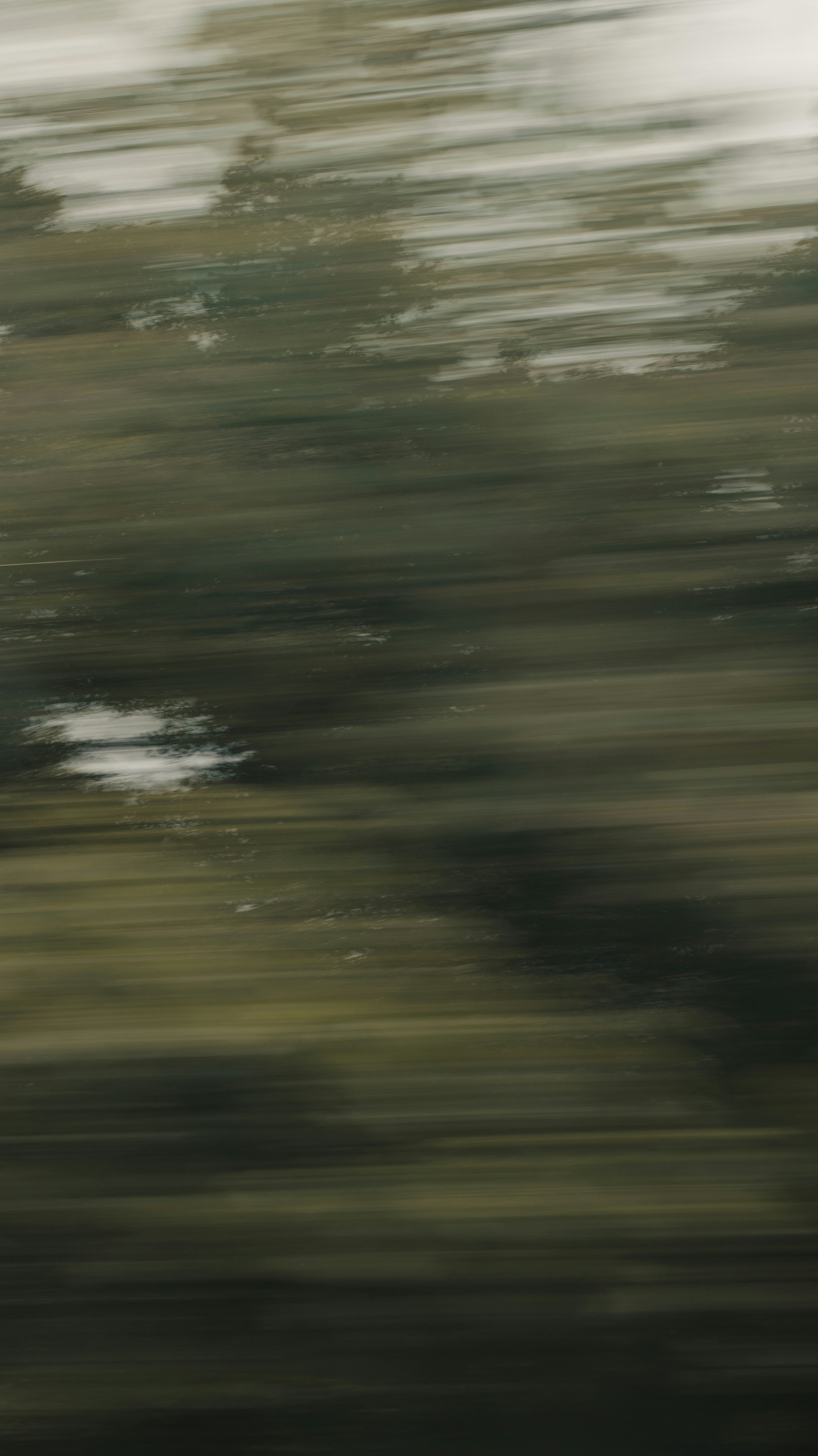 Una foto borrosa de un pájaro volando en el aire