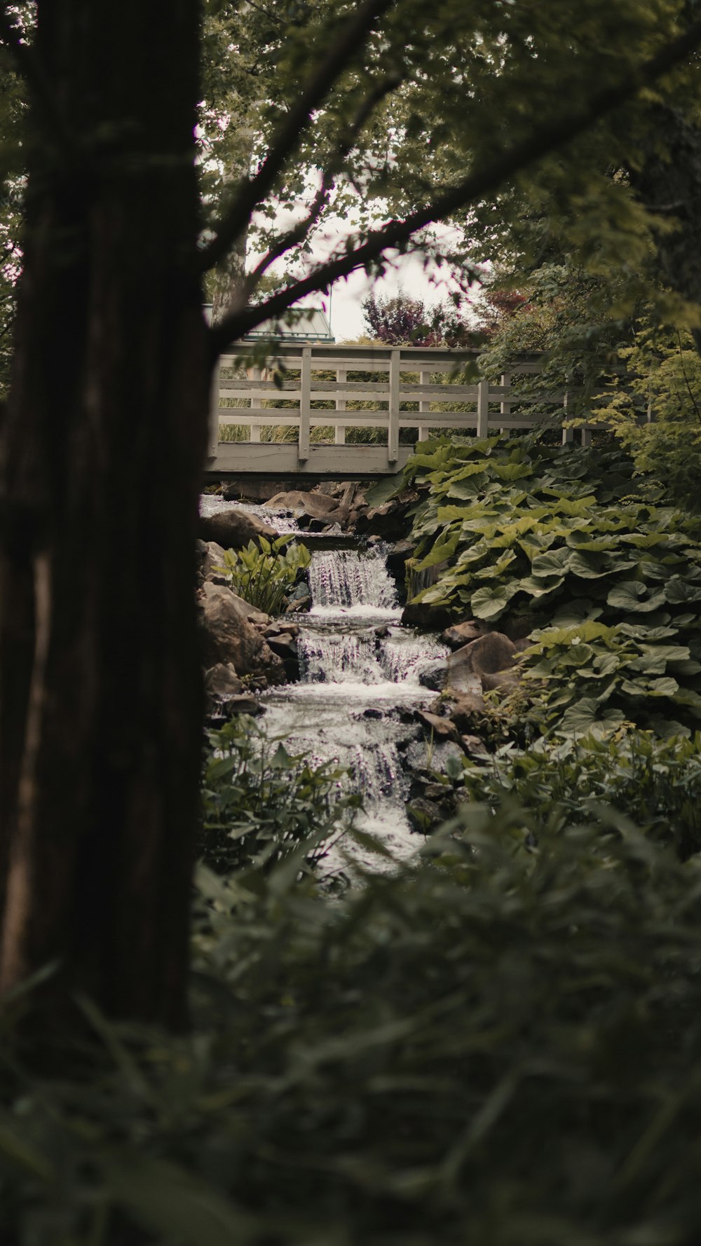 a bridge over a small waterfall in a forest