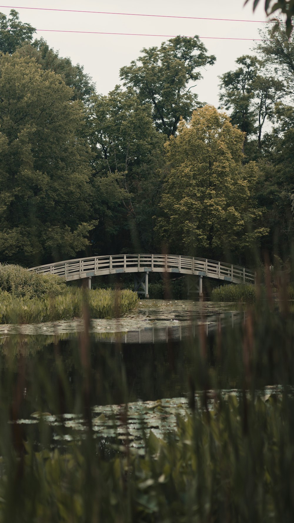 a white bridge over a pond surrounded by trees