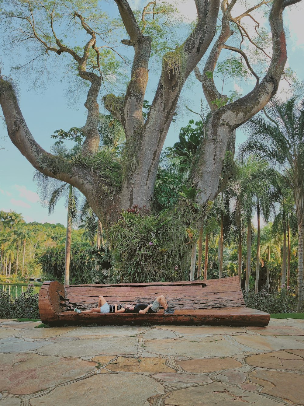 a group of people sitting on a wooden bench under a large tree