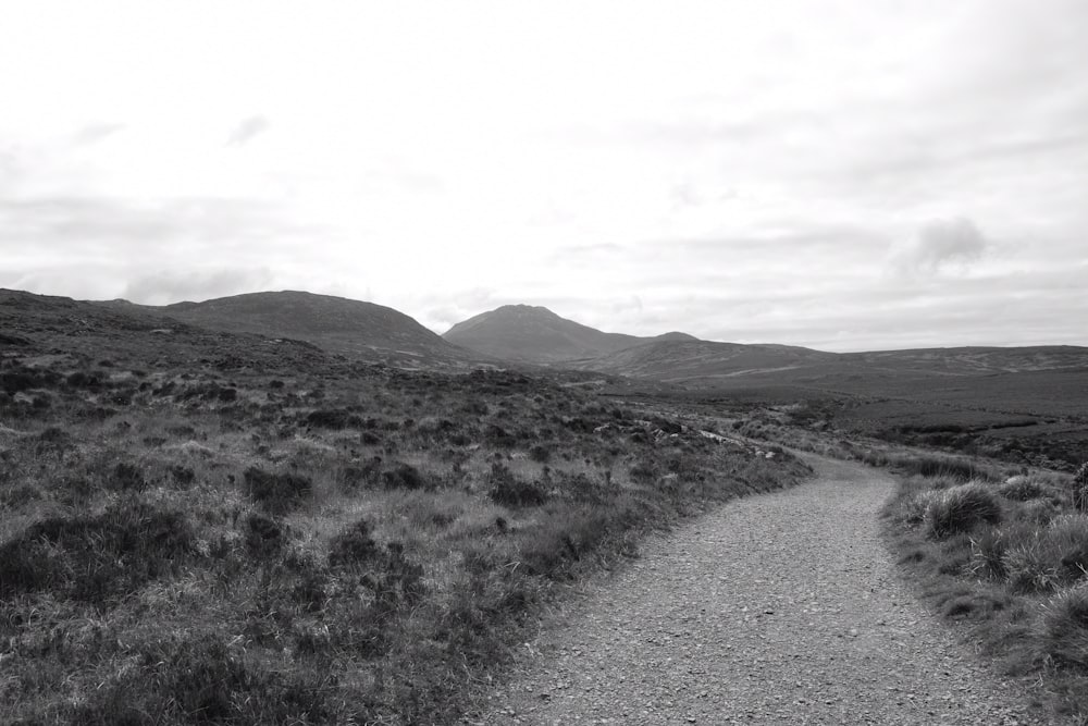 a black and white photo of a dirt road