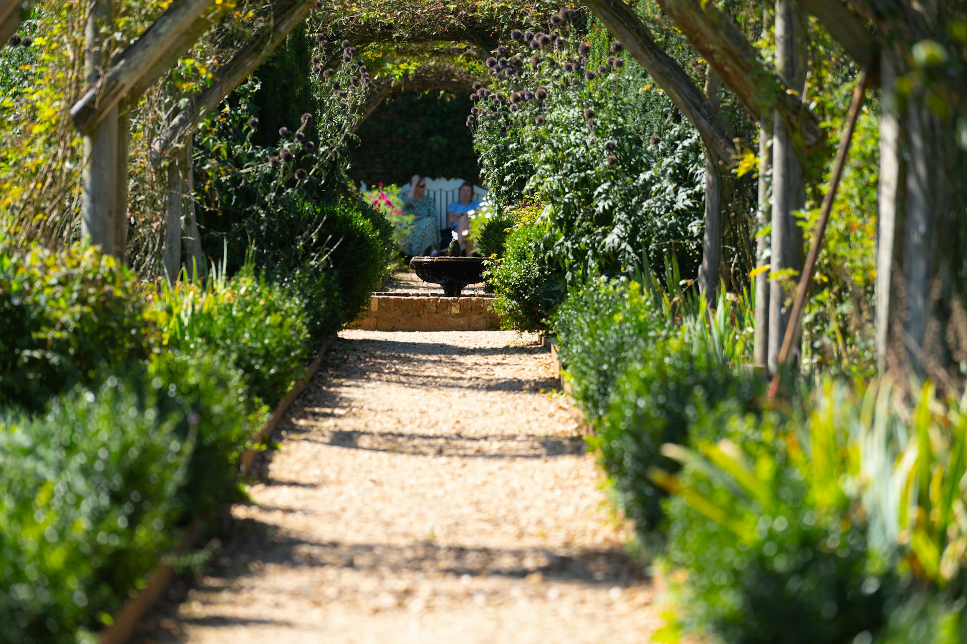 a path in a garden lined with trees and bushes