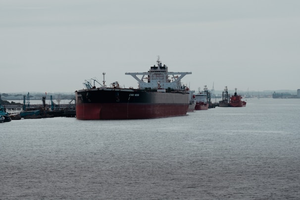 A large cargo ship is docked at a port with several other ships lined up in the background. The scene depicts a busy industrial port setting with cranes and infrastructure visible. The water is calm and expansive, stretching towards the horizon under a gray, overcast sky.