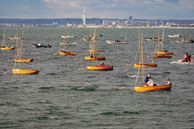 Numerous small sailboats with orange hulls are spread across the water. People are visible in the boats, seemingly preparing or adjusting sails. In the background, a city skyline with a distinctive tall tower is visible on the horizon.