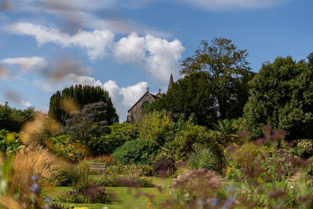 a house in the middle of a lush green field