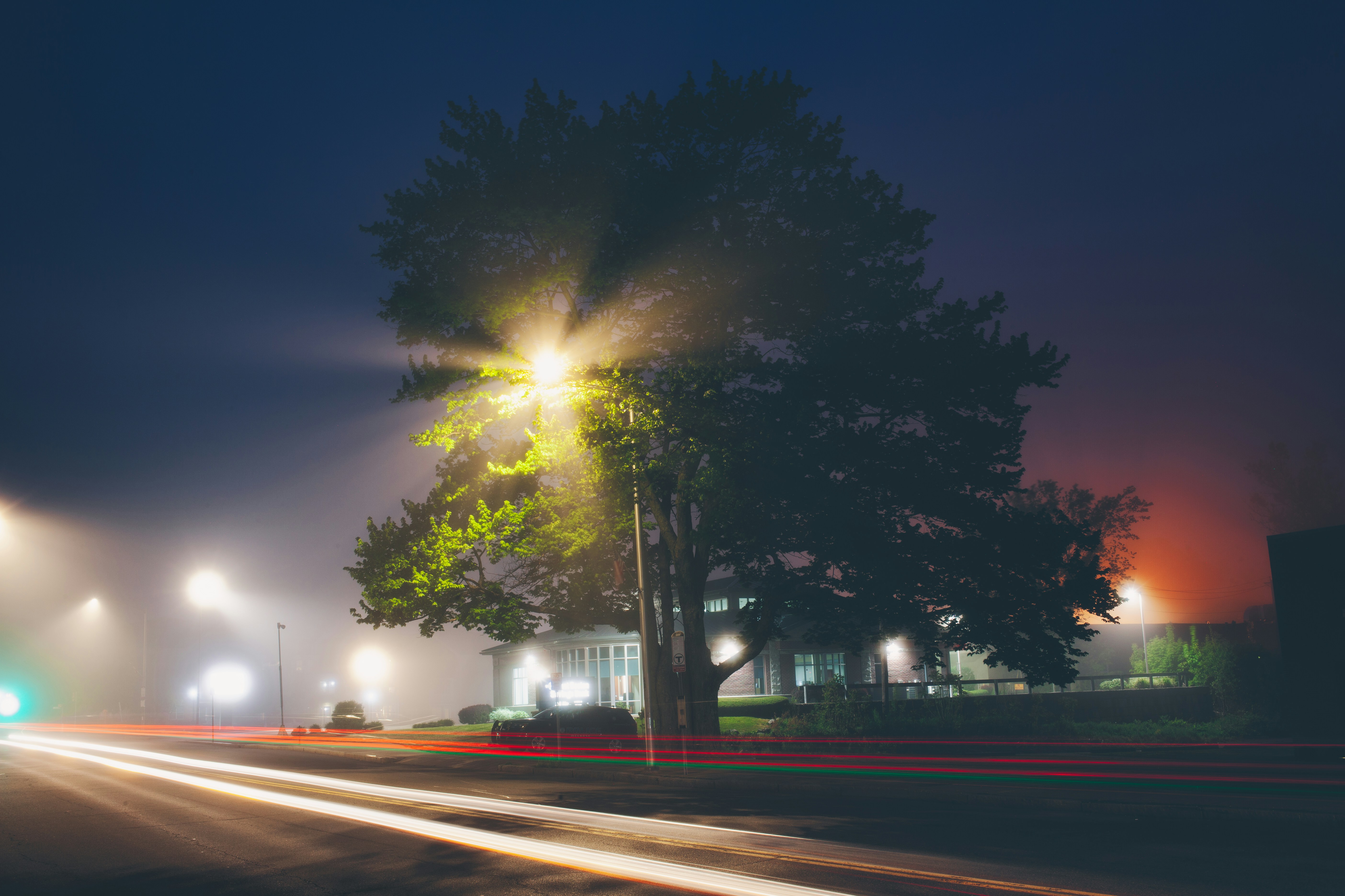 Photo by farewell_ladmin