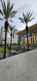 Tall palm trees stand in front of a modern commercial building with the name 'Marshalls' on it. In the background, there are several high-rise buildings with a few cars and greenery surrounding the area.